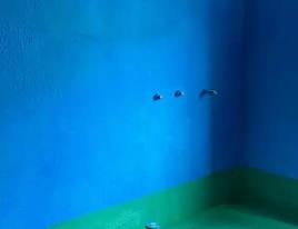 荷塘卫生间测漏水多少钱